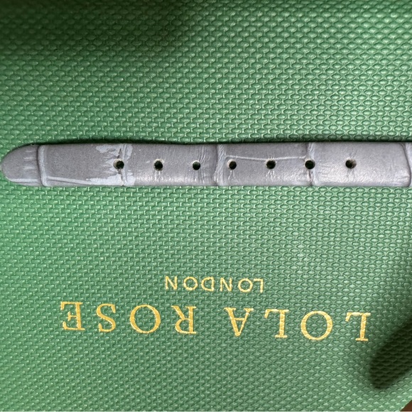 Lola Rose Watch - Picture 4 of 9